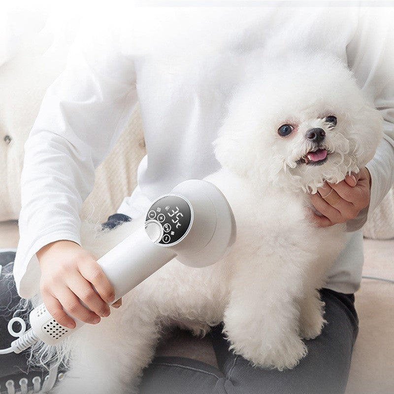 Sèche-cheveux intelligent pour animaux de compagnie (chiens, golden retrievers, chats) - Toilettage et coiffure - Séchage et brossage silencieux et sans danger pour les animaux - Produits de nettoyage pour animaux