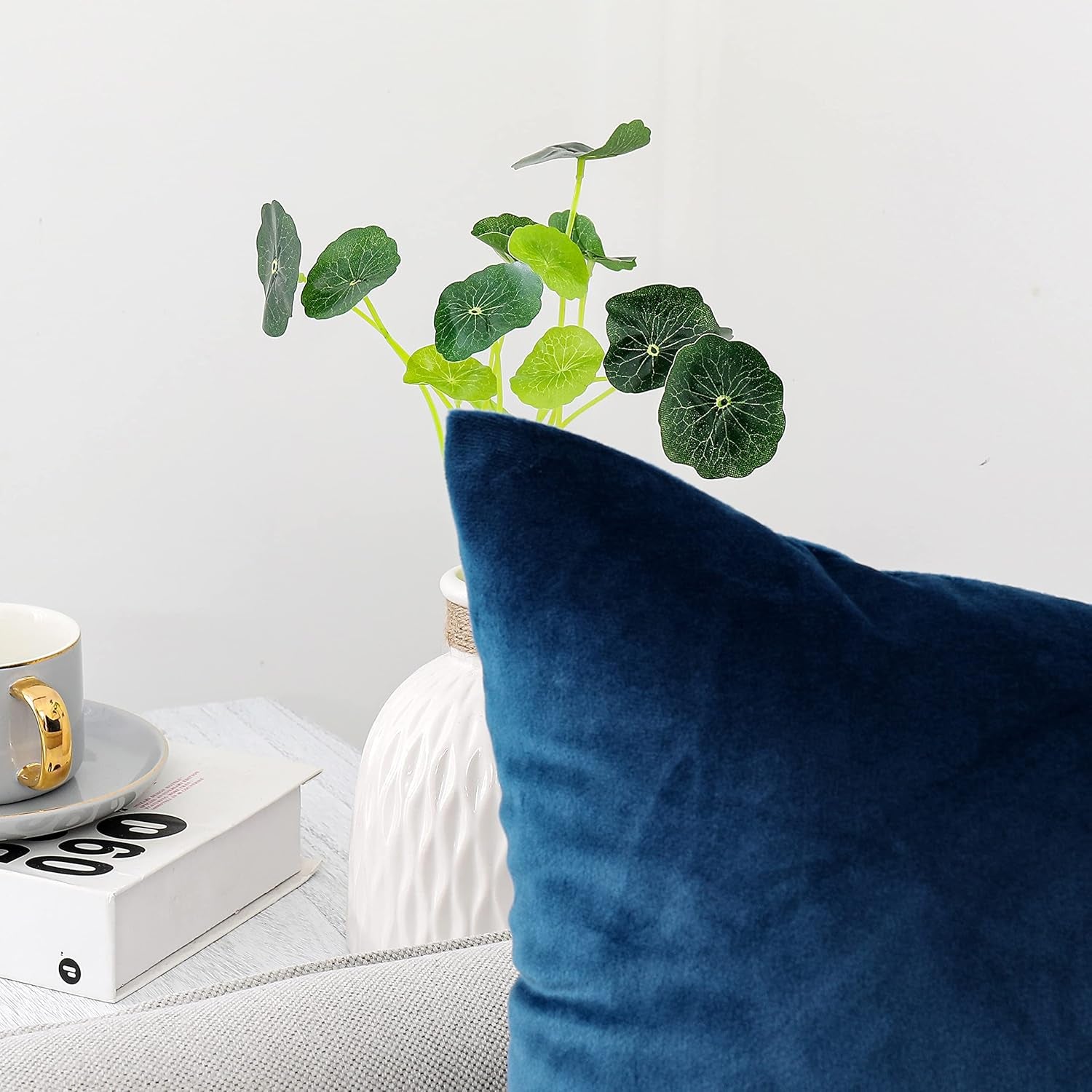 Decorative Throw Pillow Covers Pack of 2 Velvet Throw Pillow Cases for Couch Pillows Cover Bedroom Living Room Outdoor Blue Pillow Covers 18X18 Inch